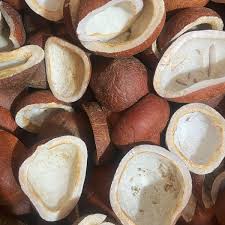 قیمت خرید نارگیل خشک کاسه ای + فروش ویژه